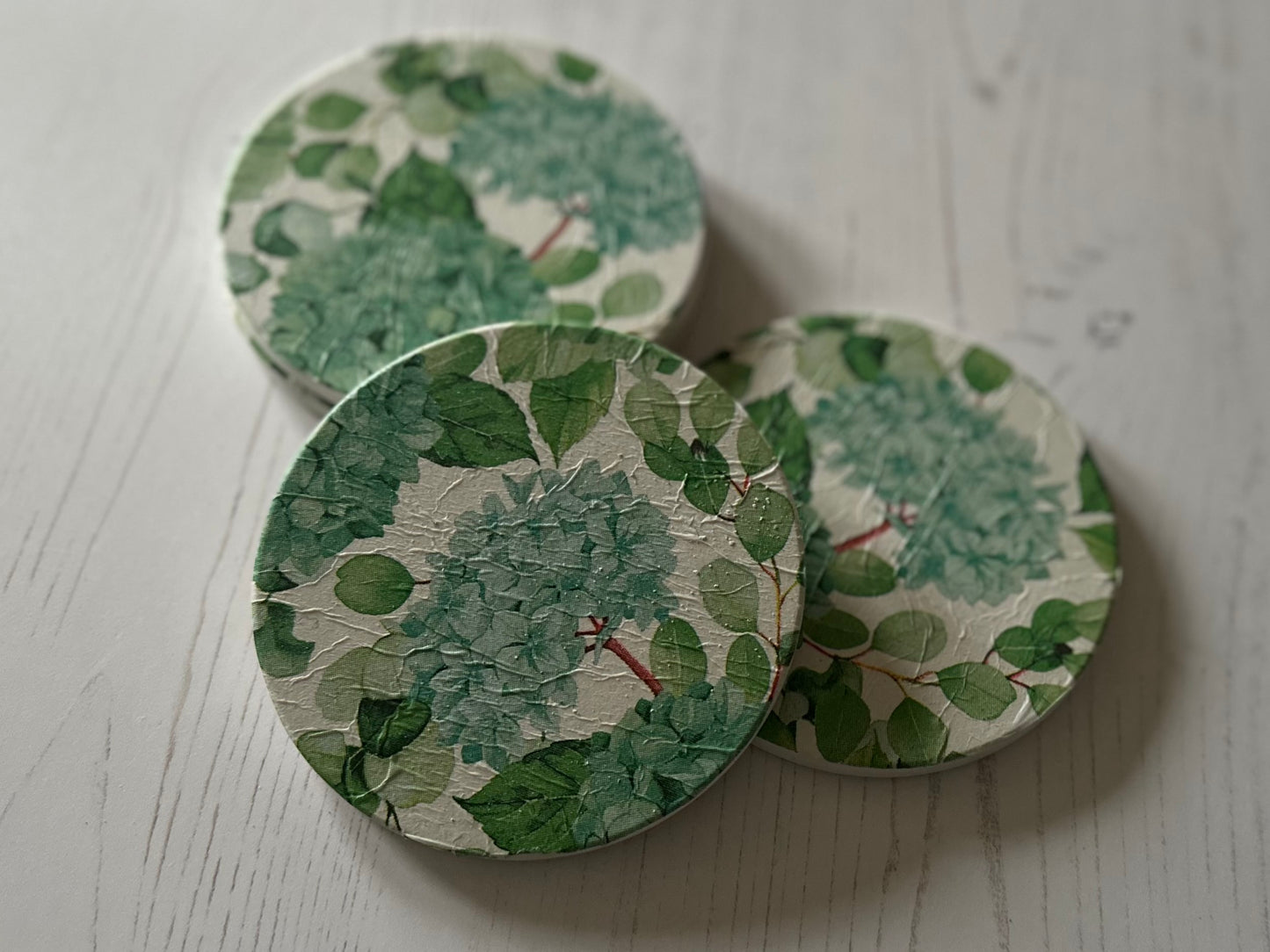 Hydrangea Coaster Green