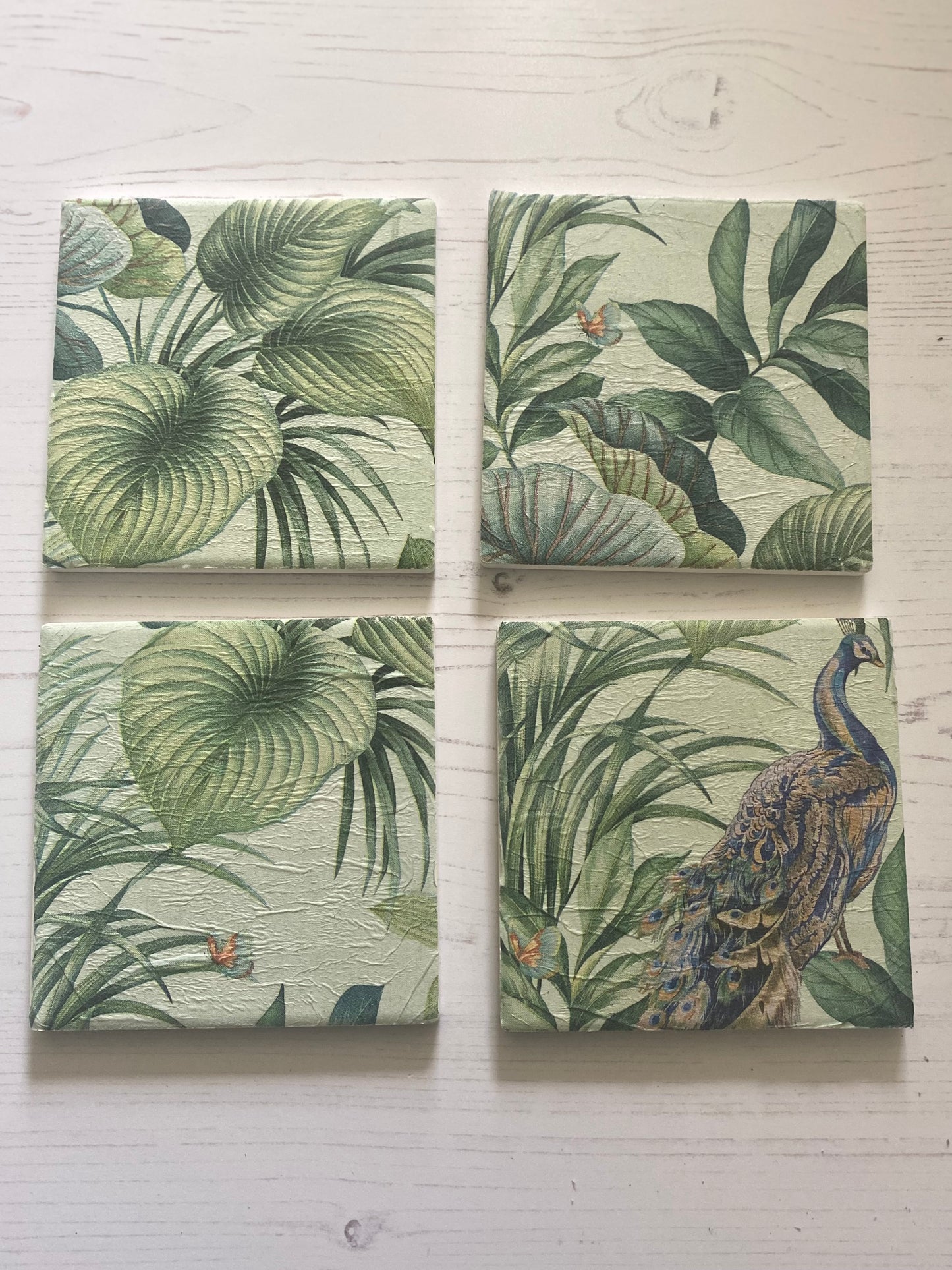 Peacock in Foliage Coaster Set