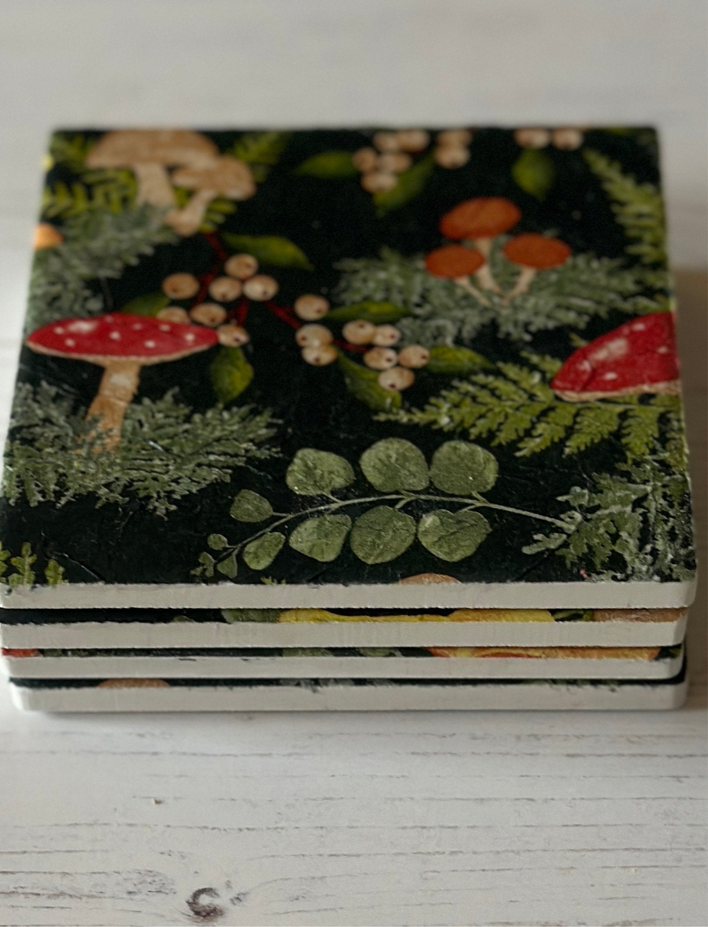 Toadstool Coaster Set