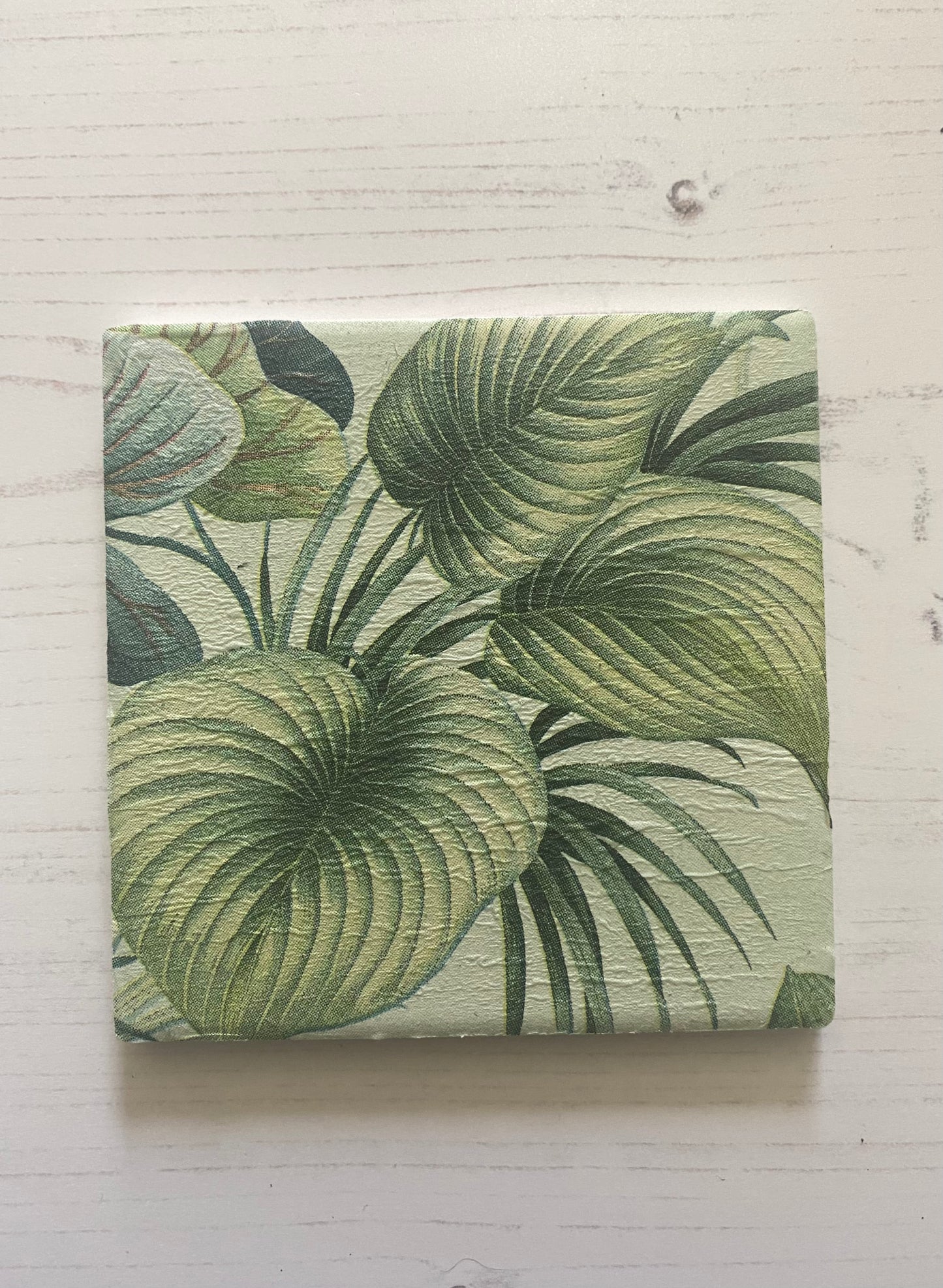 Peacock in Foliage Coaster Set
