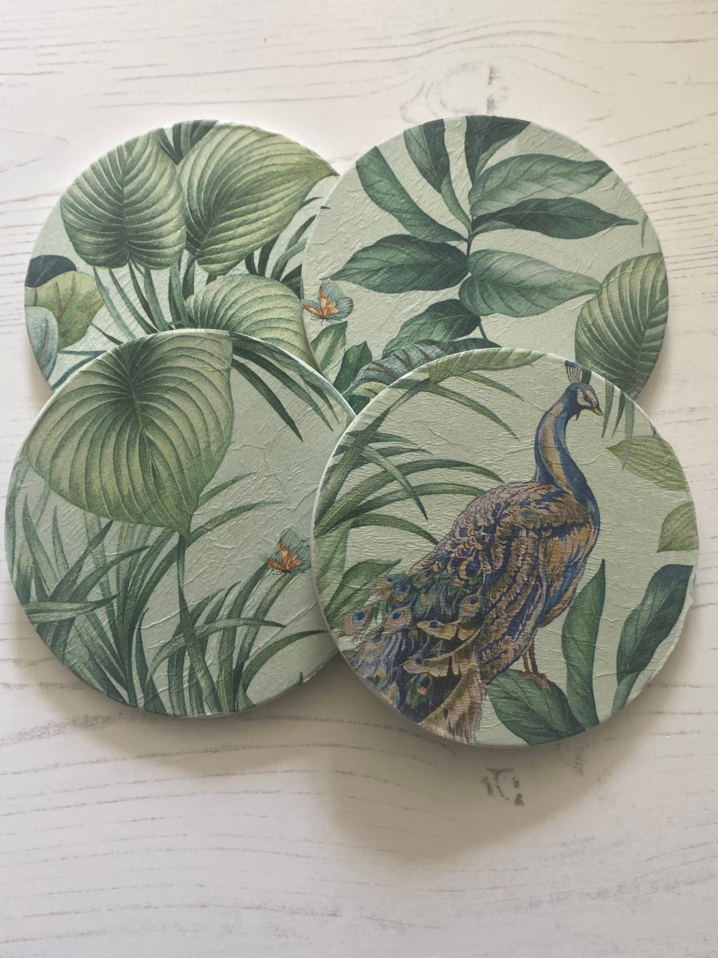 Peacock in Foliage Coaster Set