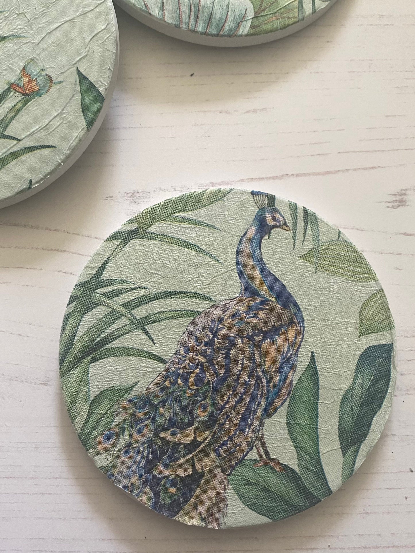 Peacock in Foliage Coaster Set