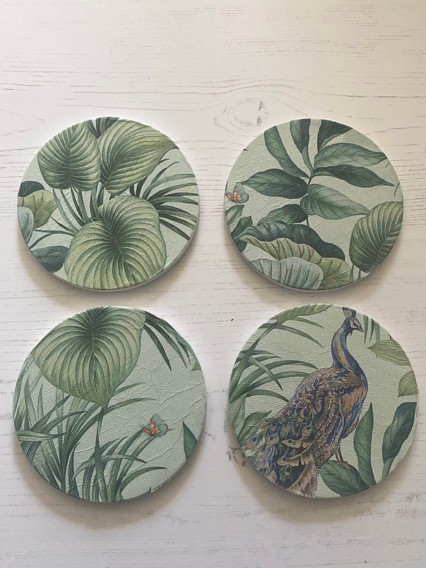 Peacock in Foliage Coaster Set
