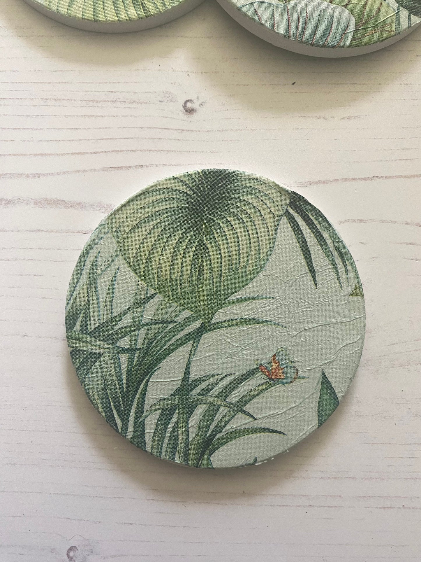 Peacock in Foliage Coaster Set