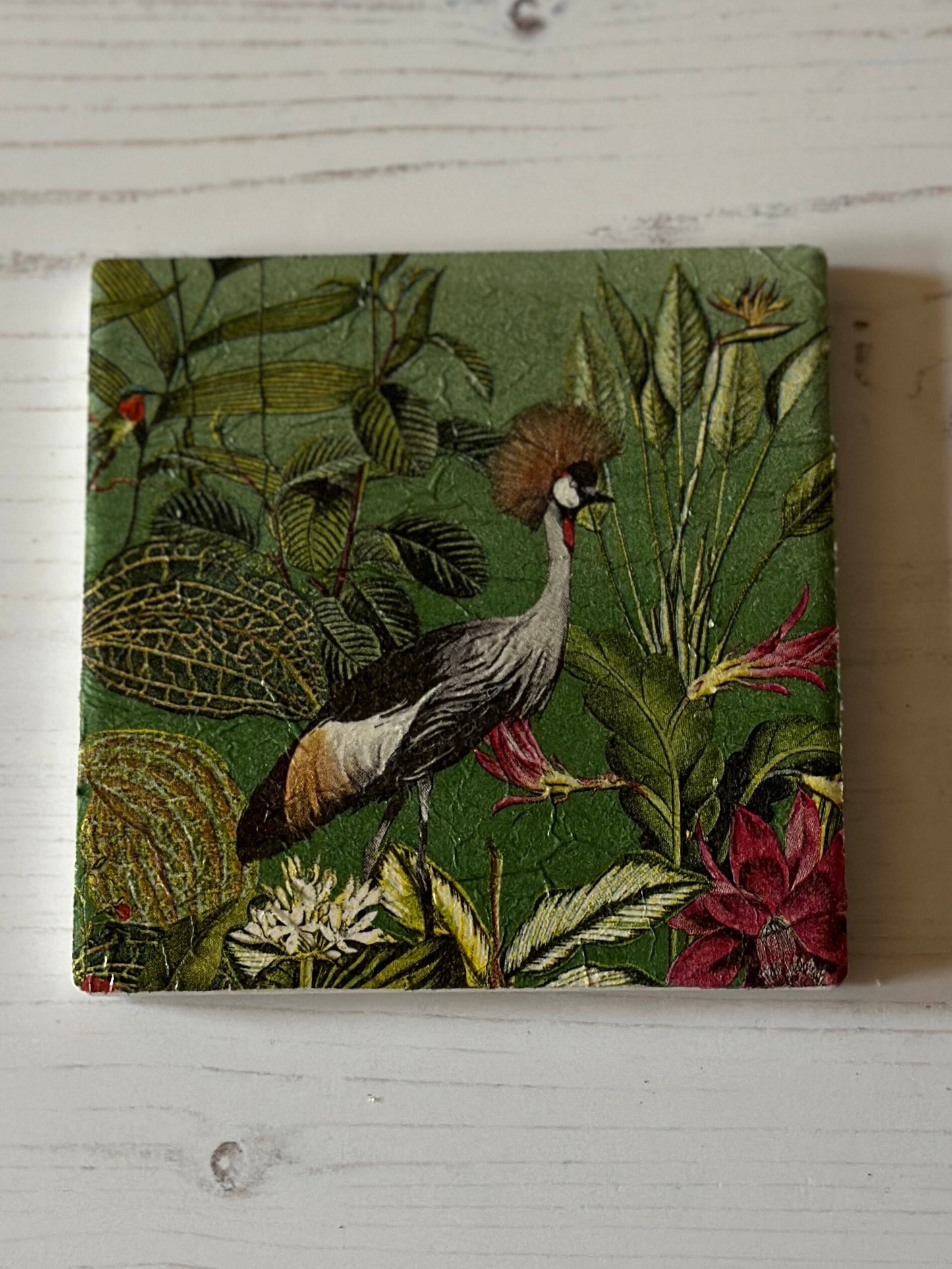Bird in Jungle Coaster Set