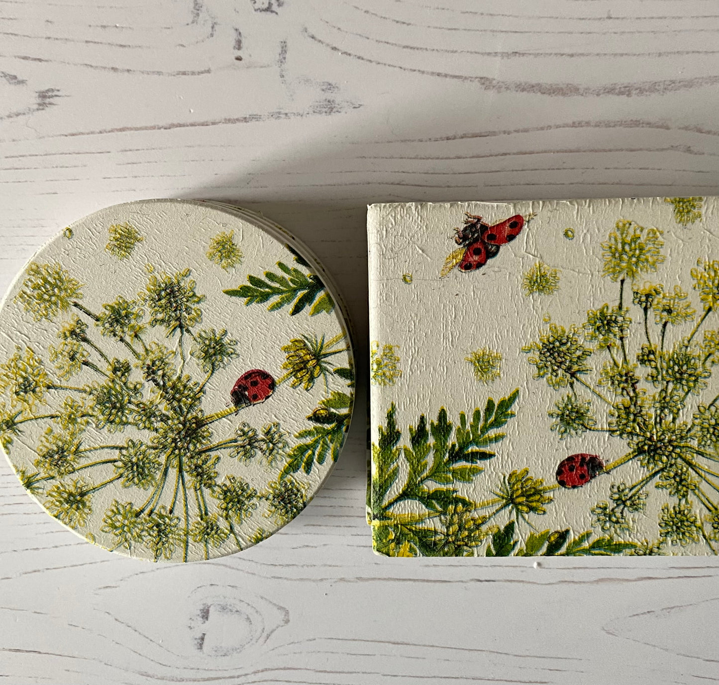 Ladybird Coaster Set